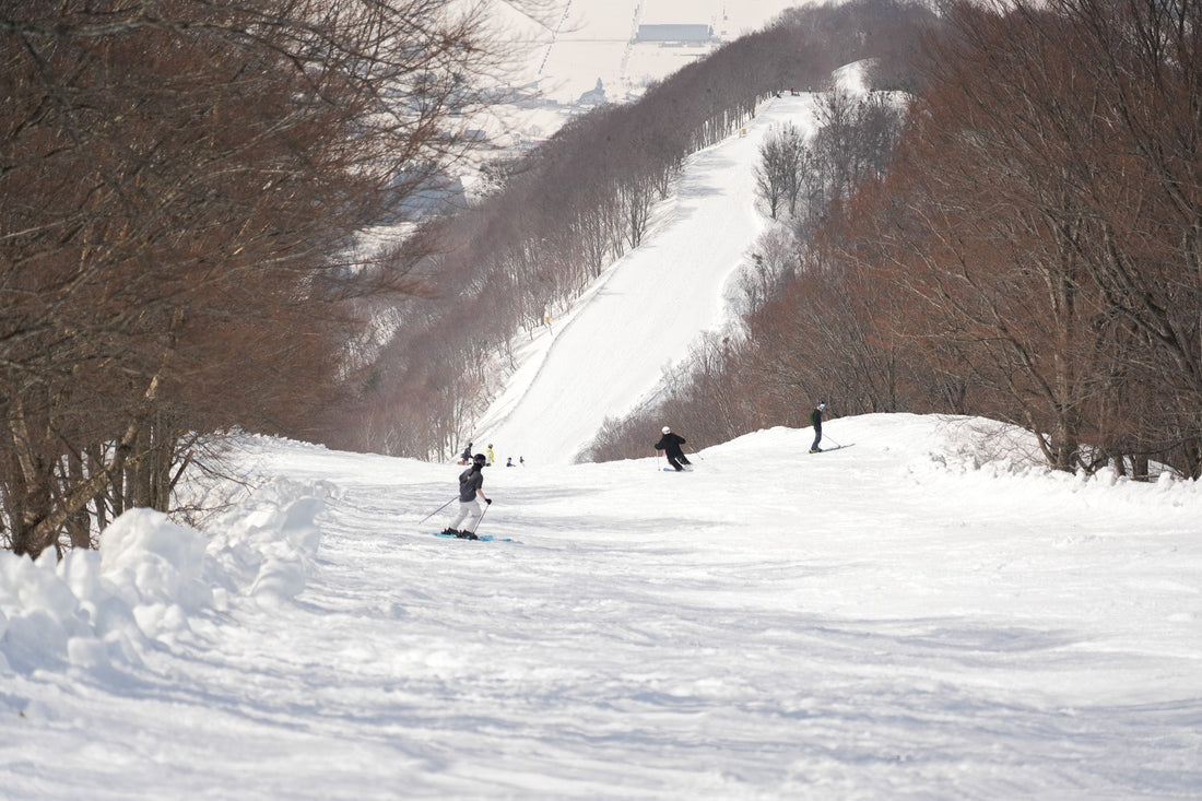 春天還能滑雪?當然可以啊!一起安排3、4、5月的日本滑雪行程吧