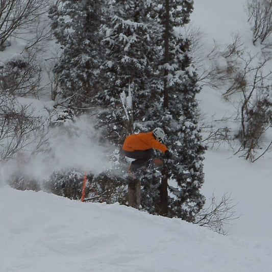 (Ended) Freeride Camp Advanced Snowboarding (SB) Ski Course