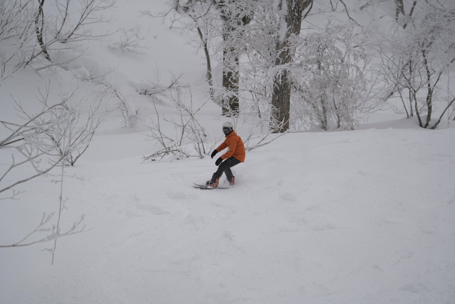 Freeride Camp 進階單板(SB)滑雪課程